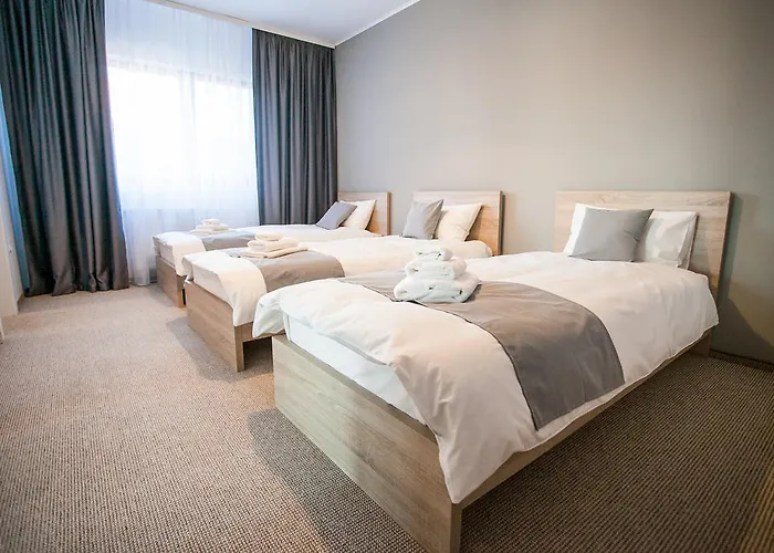 ゲストハウス Pensiunea Sada